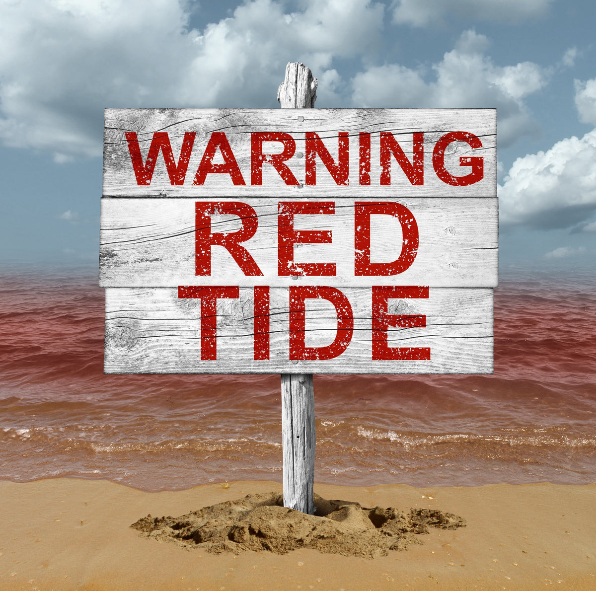 Red tide warning sign on a beach